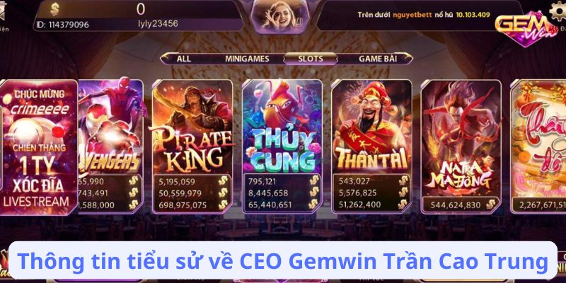 Thông tin tiểu sử về CEO Gemwin Trần Cao Trung