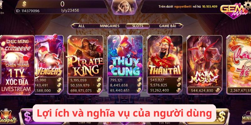 Lợi ích và nghĩa vụ của người dùng