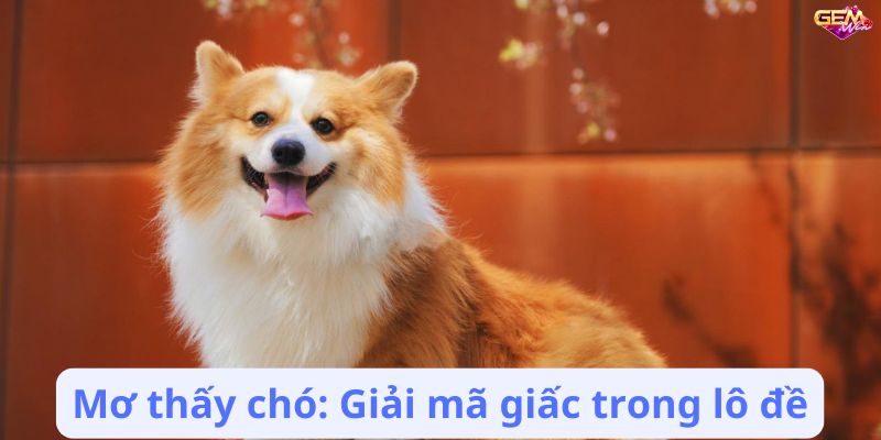 Mơ thấy chó: Giải mã giấc trong lô đề