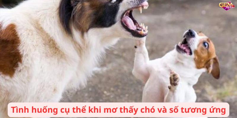 Tình huống cụ thể khi mơ thấy chó và số tương ứng