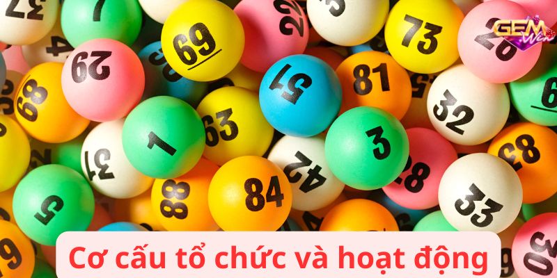 Cơ cấu tổ chức và hoạt động